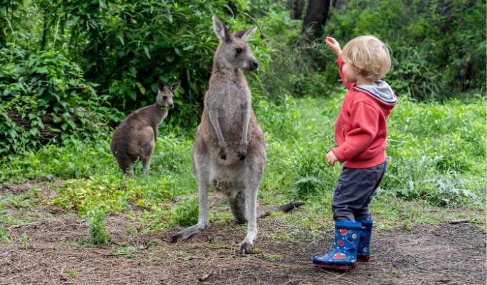 birth certificate sa